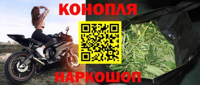 сатива Рыбинск