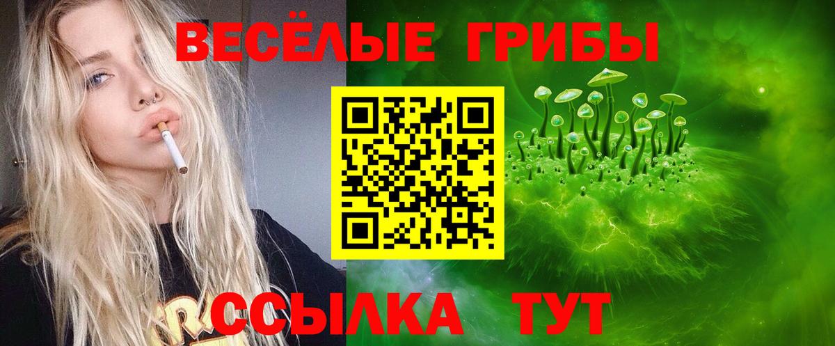 Саров  Галлюциногенные грибы Psilocybine cubensis  Вход с VPN  цены наркотик  Галлюциногенные грибы Cubensis 
