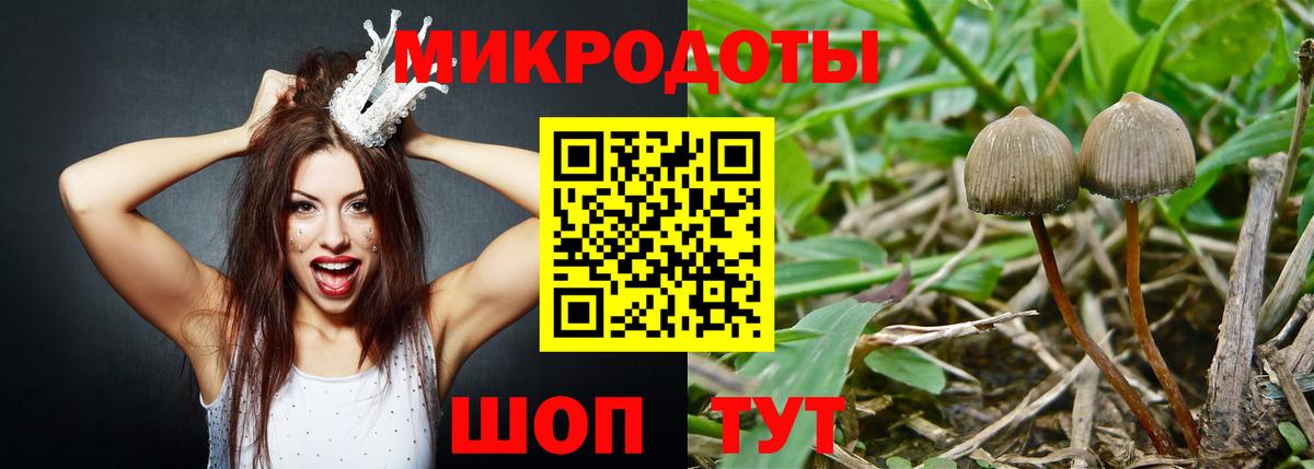 Псилоцибиновые грибы GOLDEN TEACHER Саров