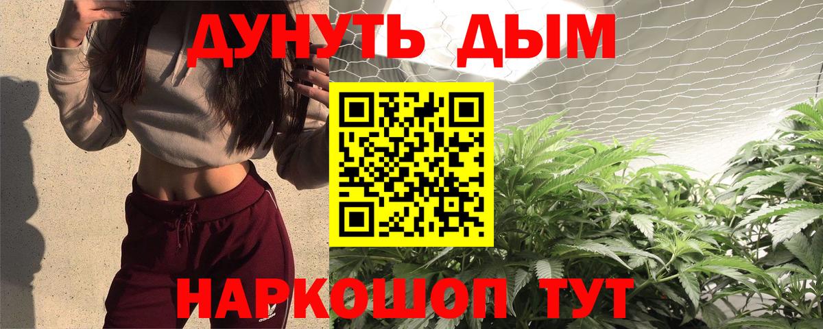 Каннабис сатива Саров